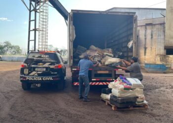 Polícia Civil realiza incineração de mais de 2 toneladas de drogas em Dourados