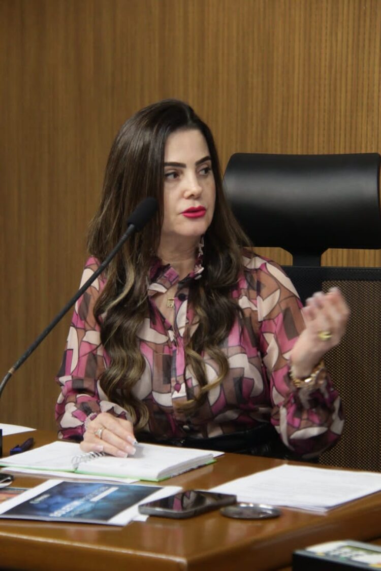 Troca de ponte sobre o Rio Salobra é solicitação de deputada ao Governo de MS