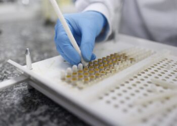 Nova tecnologia revoluciona uso da própolis como ingrediente industrial