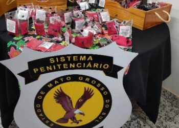 Produção de bioabsorventes em presídio de MS é alternativa para dignidade menstrual às mulheres