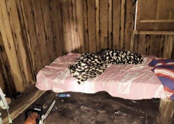 Seis trabalhadores são resgatados de trabalho análogo à escravidão em MS