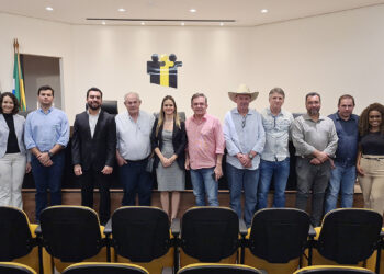 Fiems participa de grupo de trabalho para regulamentar Agenda 2030 em MS