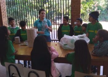 Povo do mel: para preservar cultura e língua indígena Ofaié, estudantes criam abelhas em aldeia