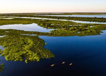 Governo desenvolve ações que faz Pantanal ter 85% da área preservada e redução do desmatamento