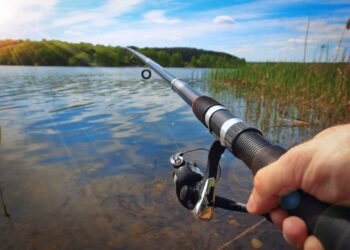 MPMS ministra palestra sobre estratégias sobre temática de crimes de pesca