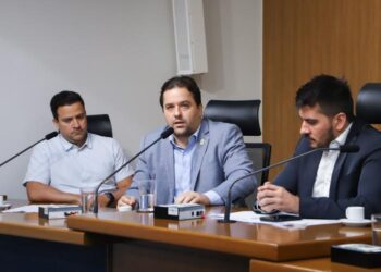 Em audiência pública, Famasul evidencia importância do produtor para preservação do Pantanal