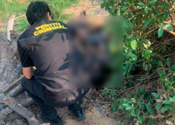 Corpo em avançado estado de decomposição é encontrado em propriedade rural de MS