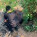 Corpo em avançado estado de decomposição é encontrado em propriedade rural de MS