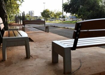 Opção de lazer na capital, Amigos do Parque ocorre normalmente neste fim de semana