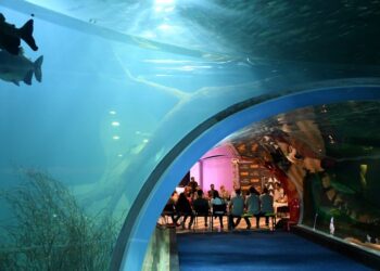 Confira o abre e fecha do feriado nacional da Independência do Brasil