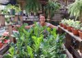VÍDEO: Lyara encontrou nas plantas a cura para depressão e novo rumo profissional