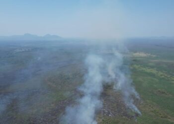 Bombeiros combatem três novos focos de incêndio no Pantanal em MS
