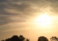 Sexta-feira tem previsão de sol e tempo estável em Mato Grosso do Sul