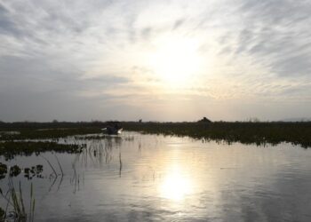Domingo tem altas temperaturas e probabilidade de chuvas isoladas em MS