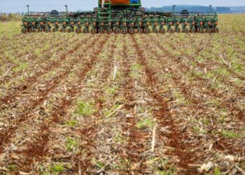 Com fim do vazio sanitário, produtores rurais já podem iniciar plantio da soja