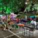AGENDÃO: Evento gastronômico com pratos em promoção e Silver Week agitam fim de semana