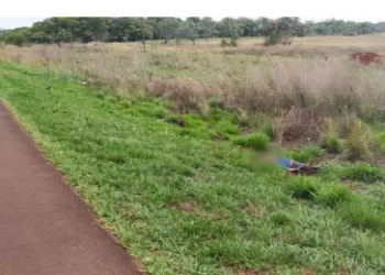 Corpo com pescoço quase arrancado é encontrado por ciclistas na MS-040