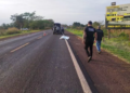 Atropelamento: Homem é encontrado morto com cabeça esmagada na BR-376