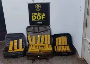 Dois casais são presos com quase 100kg de maconha e “prejuízo” ao tráfico é R$ 200 mil