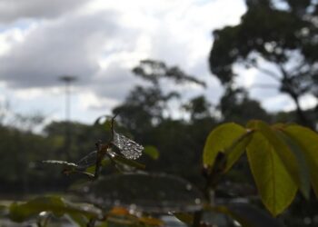 Previsão é de chuvas e aumento das temperaturas nesta sexta-feira em MS
