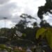 Previsão é de chuvas e aumento das temperaturas nesta sexta-feira em MS