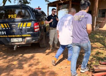 Polícia prende homem e recupera caminhão furtado no interior de MS