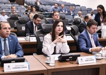 Para Aldeia Cerrito em Eldorado, deputada requer construção de posto de Assistência Social