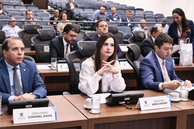 Para Aldeia Cerrito em Eldorado, deputada requer construção de posto de Assistência Social