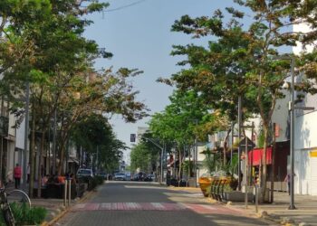 Corredor verde na 14 de Julho garante conforto térmico para a população