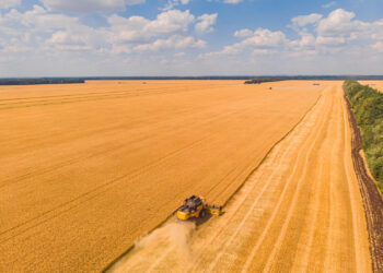 Campo Grande segue na liderança entre as capitais com a maior produção agrícola do país, segundo estudo