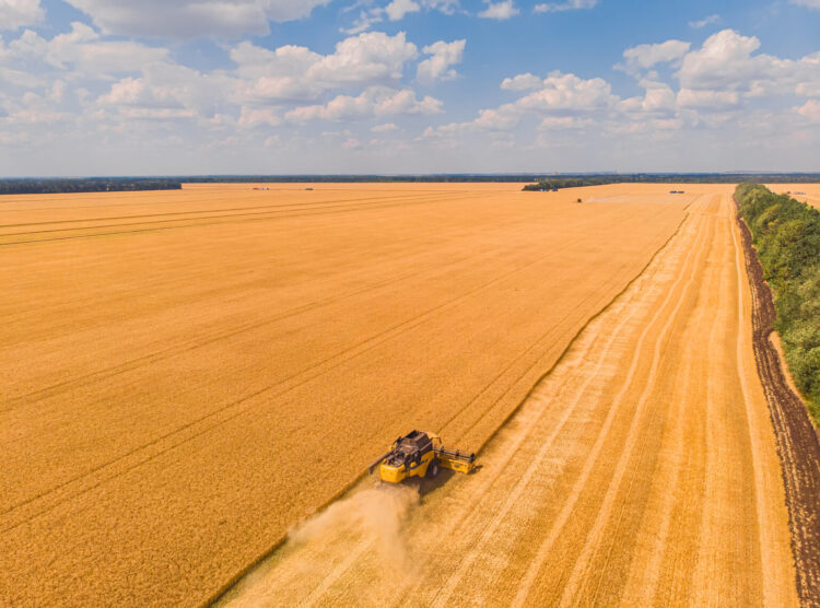 Campo Grande segue na liderança entre as capitais com a maior produção agrícola do país, segundo estudo
