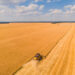Campo Grande segue na liderança entre as capitais com a maior produção agrícola do país, segundo estudo