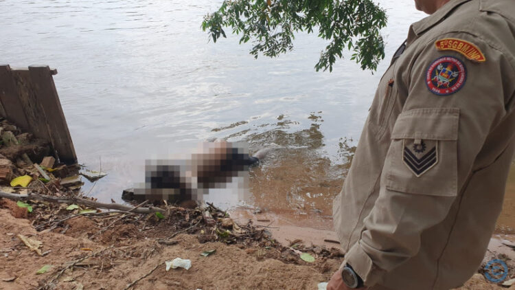 Corpo de homem com tatuagens de nomes Carolina e Rosalina é encontrado em rio de MS