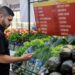 “O papel do nutricionista é mostrar que é possível ter hábitos mais saudáveis”, afirma especialista
