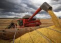 ECONOMIA: Colheita de grãos no agro bate recorde