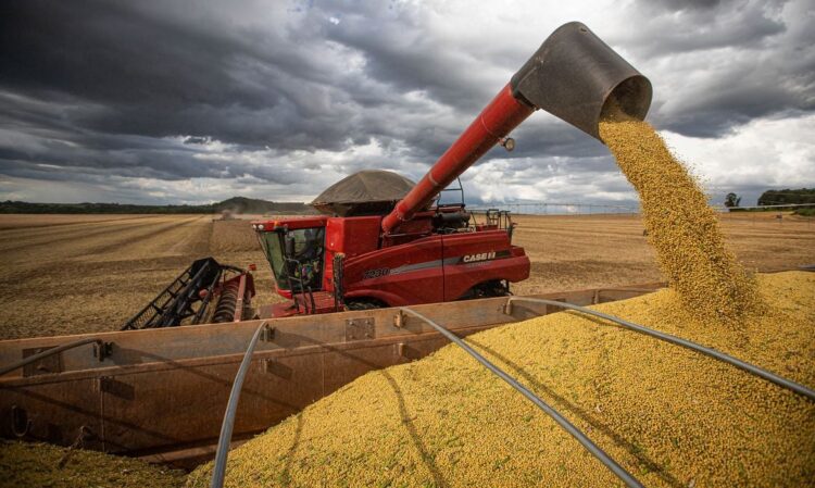 ECONOMIA: Colheita de grãos no agro bate recorde