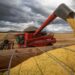 ECONOMIA: Colheita de grãos no agro bate recorde