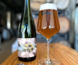 Selvageria no copo: cervejarias nacionais apostam em sabores únicos e complexos