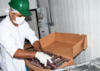 Maior produtor de avestruz fora da África tem frigorífico em Campo Grande e vende para todo país