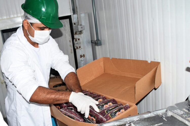 Maior produtor de avestruz fora da África tem frigorífico em Campo Grande e vende para todo país