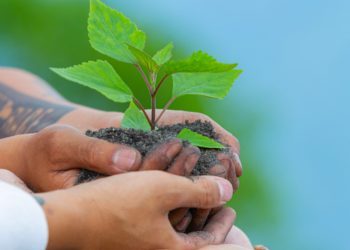 Audiência na Câmara no dia 23 discute Política Municipal de Educação Ambiental
