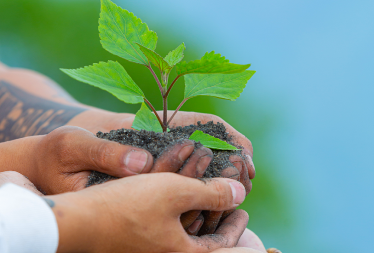 Audiência na Câmara no dia 23 discute Política Municipal de Educação Ambiental