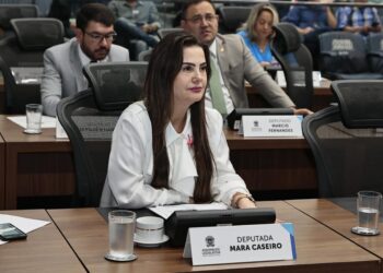 Para evitar acidentes, deputada pede reparo de ponte em Nioaque