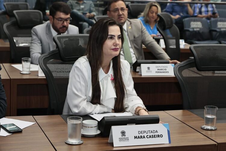 Para evitar acidentes, deputada pede reparo de ponte em Nioaque