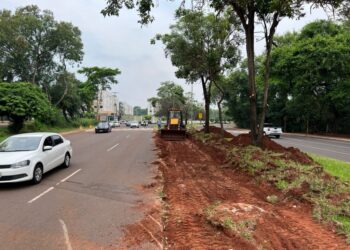 Avenida Senador Antônio Mendes Canale recebe reordenamento viário