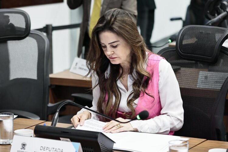 Deputada solicita a recuperação asfáltica de trecho da BR-060, em Camapuã