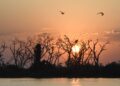 Frente fria oceânica deve amenizar temperaturas nesta quinta-feira em MS