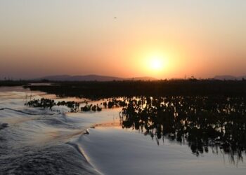 Sol e tempo estável retornam na tarde desta terça-feira em Mato Grosso do Sul