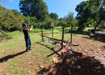 Projeto apoiado pela Fundect pretende prevenir incêndios no Pantanal