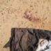 Atentados em sequência deixam três rapazes baleados no São Conrado